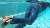 swimming and diving with jeans clothes in water